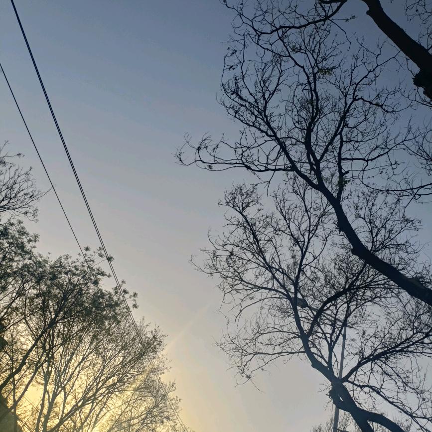 情缠三生终寂寥