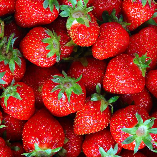 饱了眼福,苦了贪心