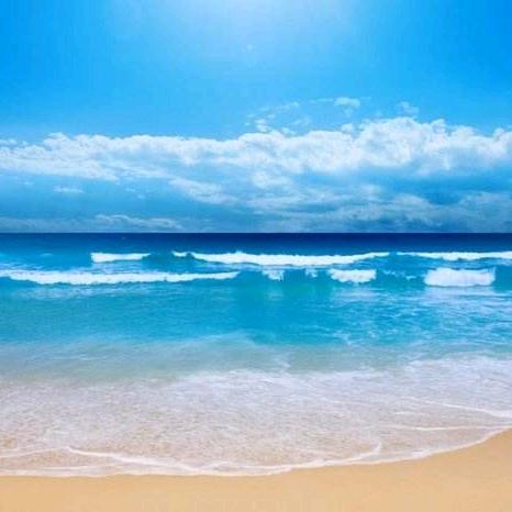 🌈葉芯彭噫🌈