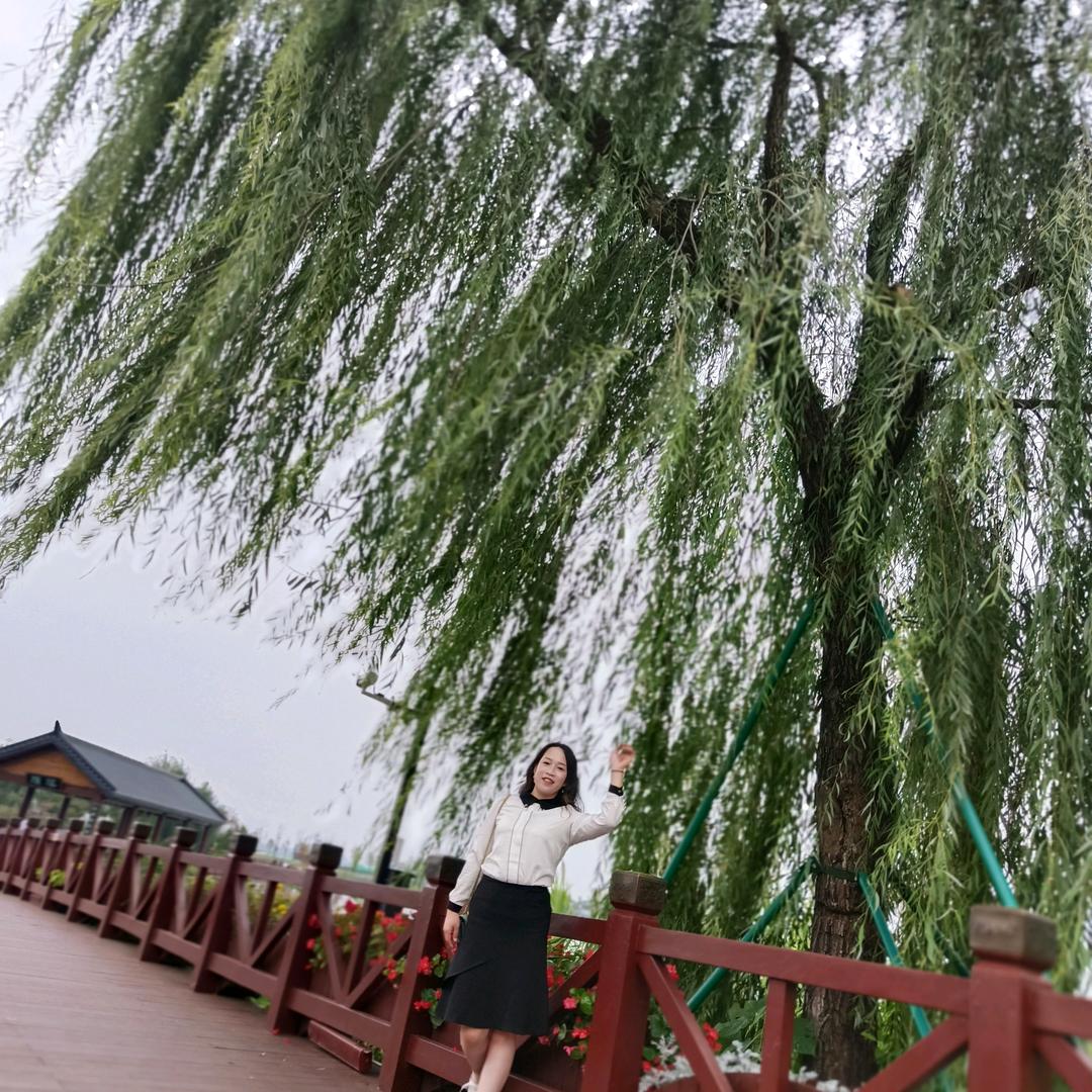 今生御缘（橱窗有好物）