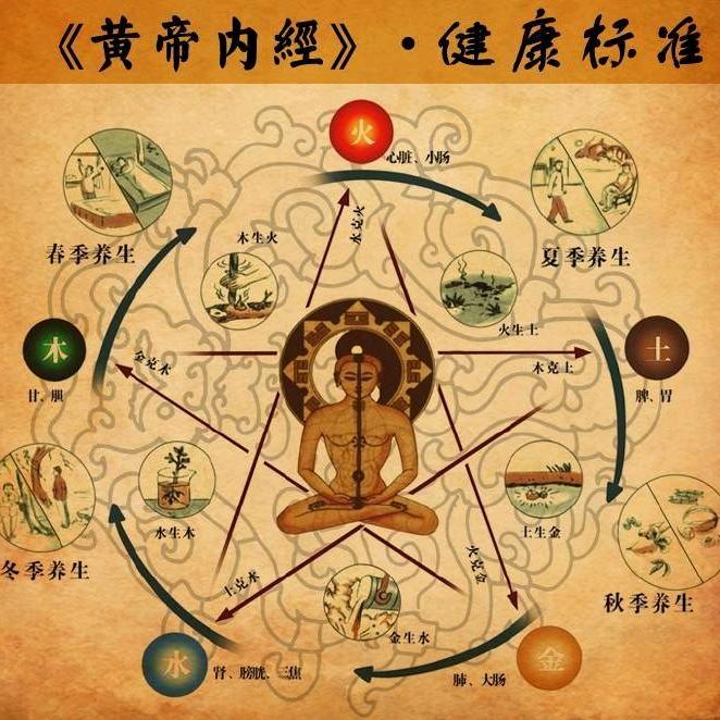 文而视频