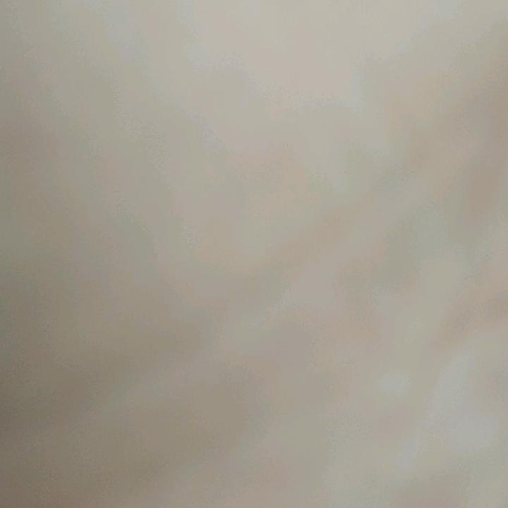 寧志