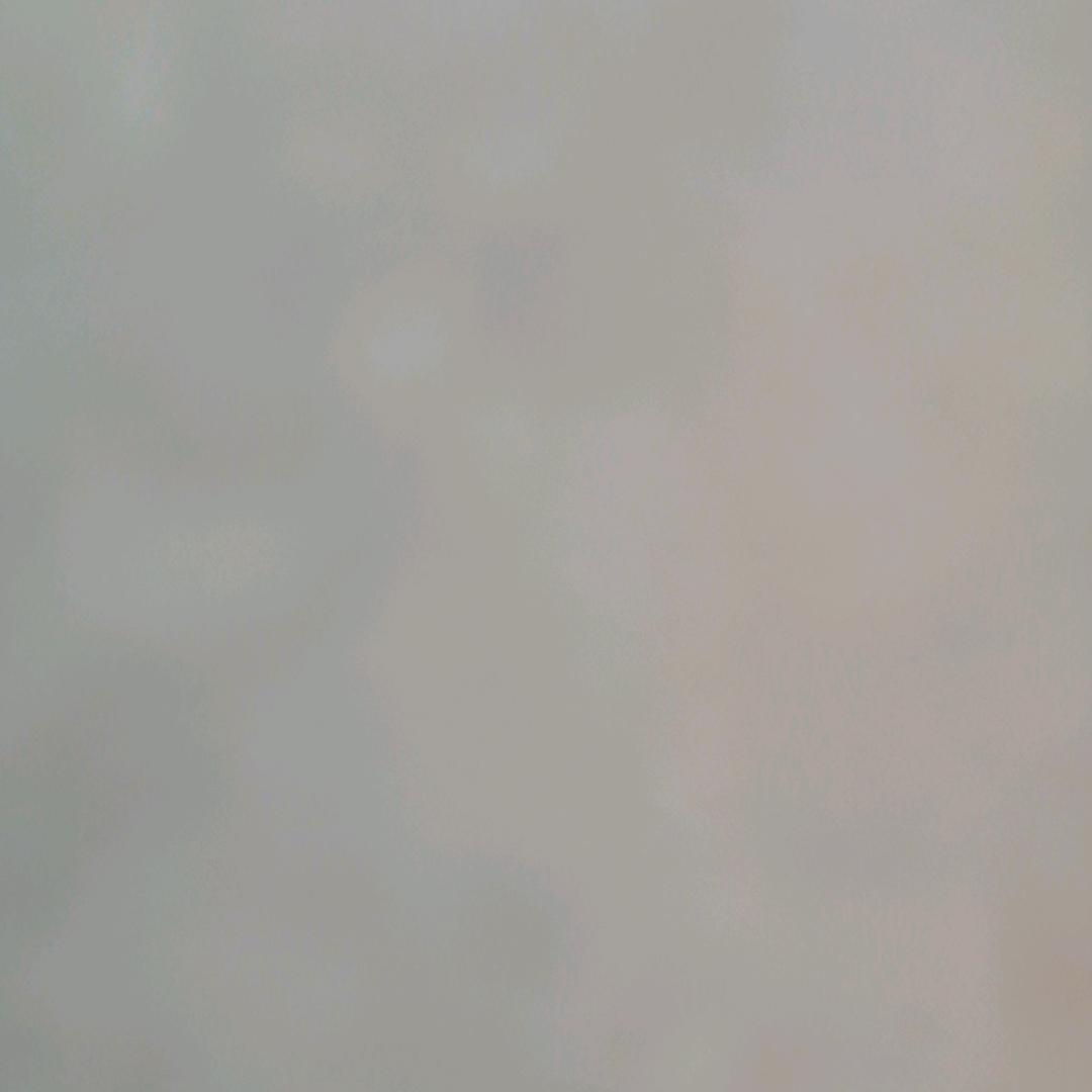 了却红尘