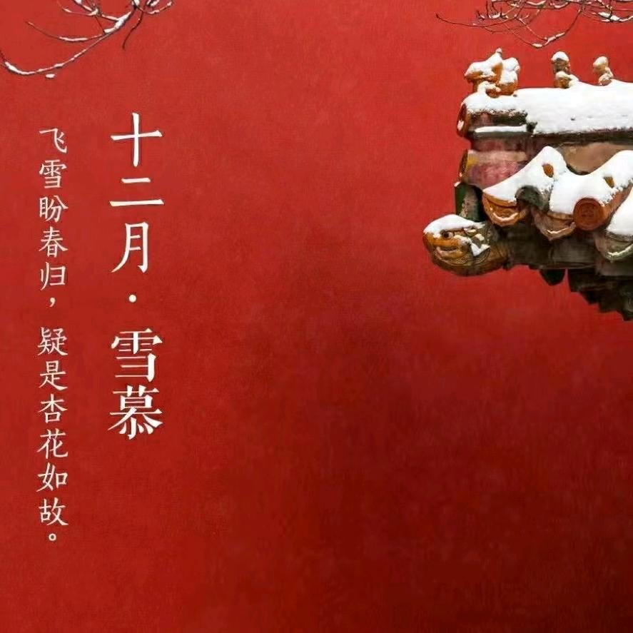 可咨询