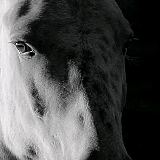 独自