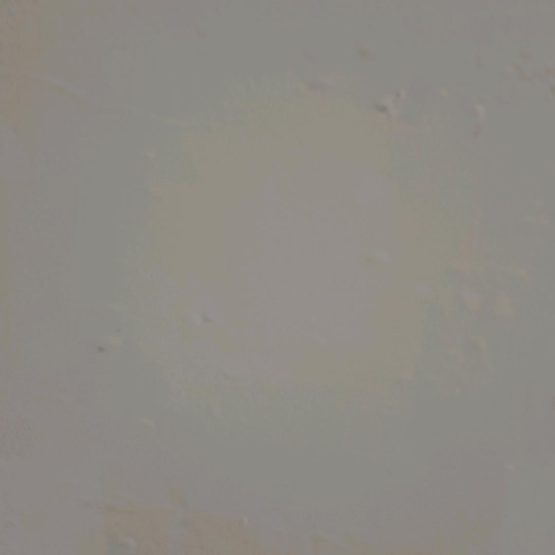 筒子骨
