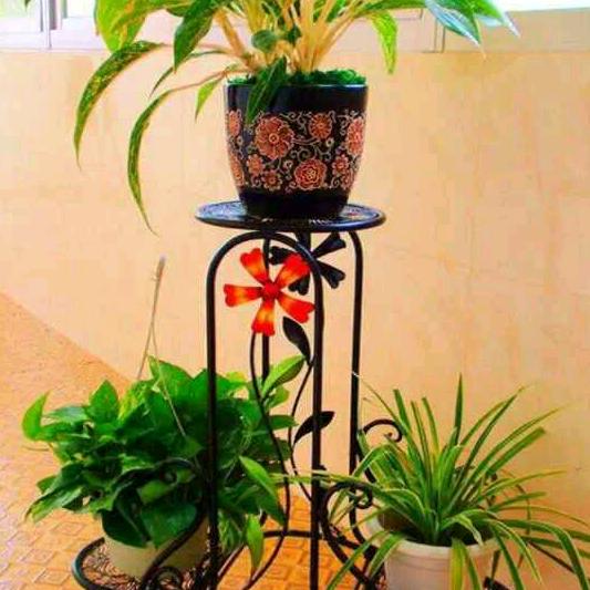 茉莉