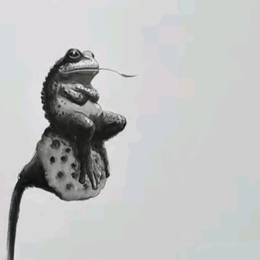 杨乐