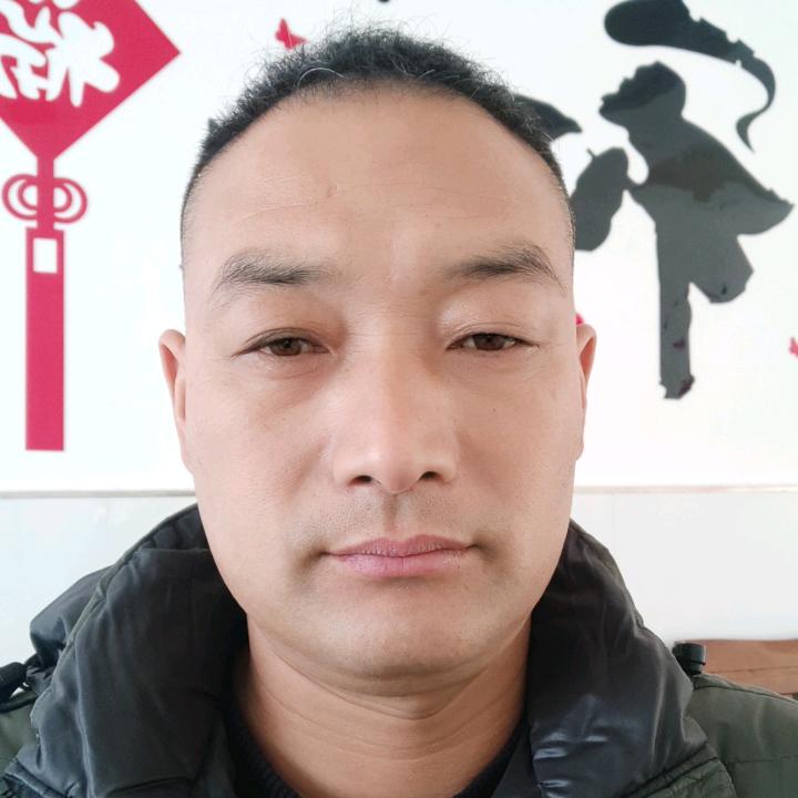 辛《道奇物流运输公司》