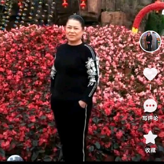 如梦花篮