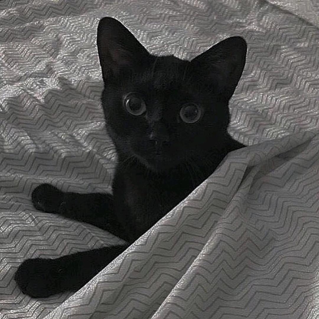 fafafafafa～