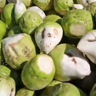 蔬菜水果代办