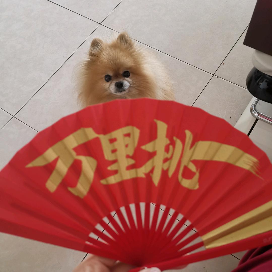 茜茜