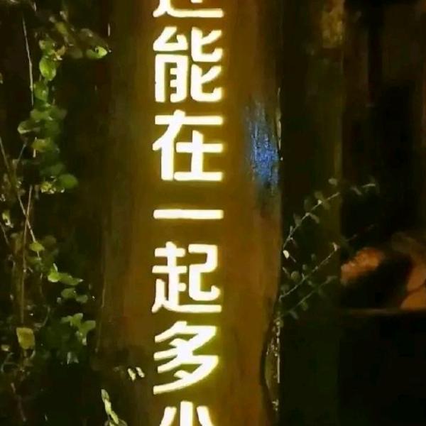 妙源娱乐的周世成头像