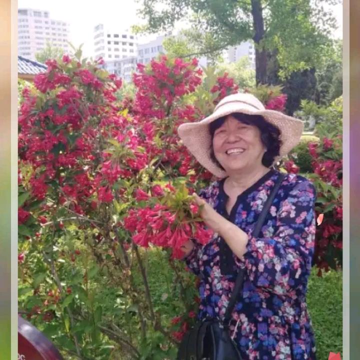 浪里个浪（｡ò ∀ ó｡）