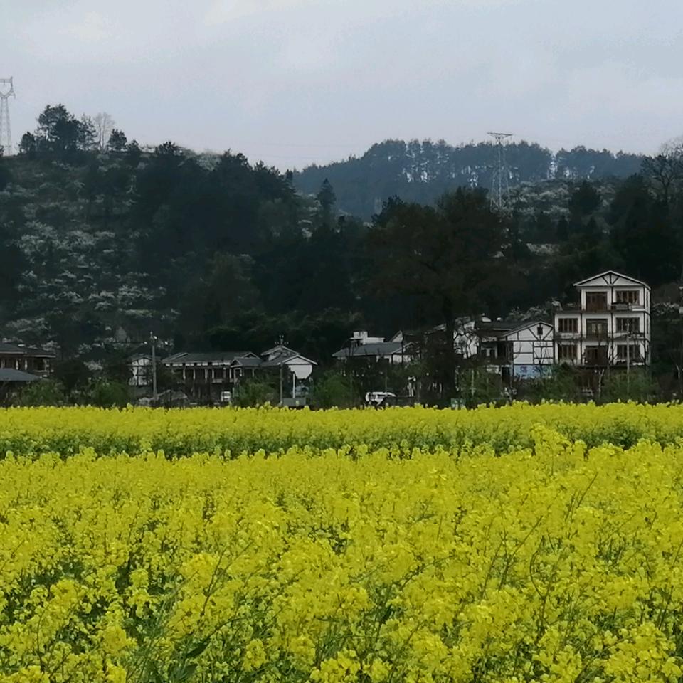 俺是农村人