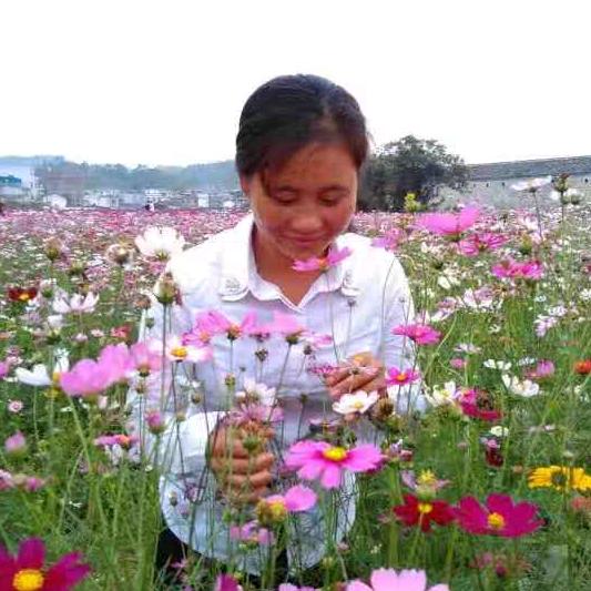 赣南脐橙苗