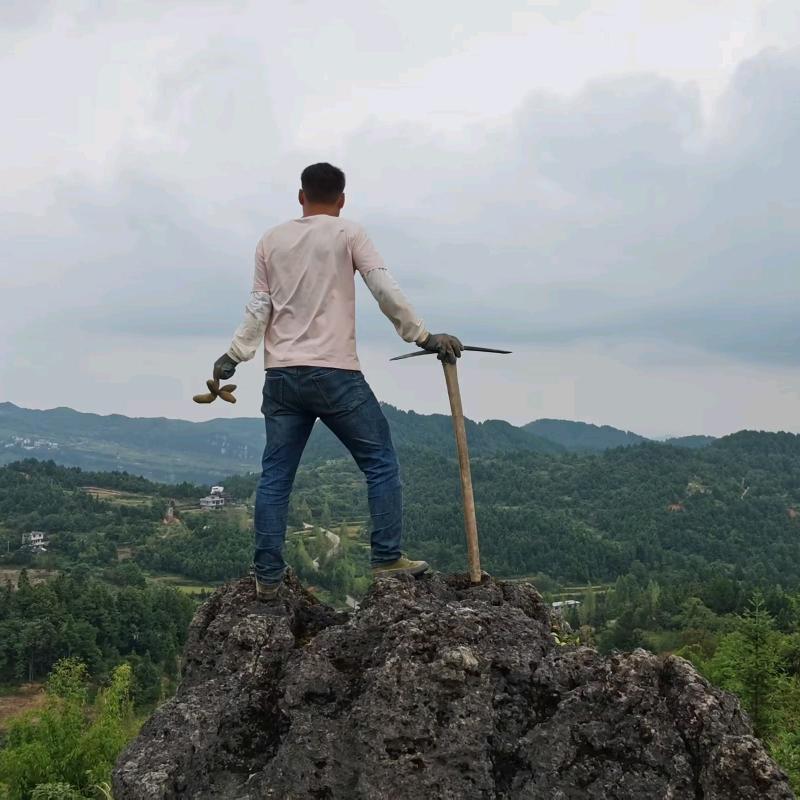威宁小杨哥
