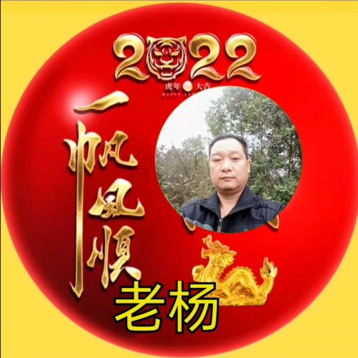 老杨