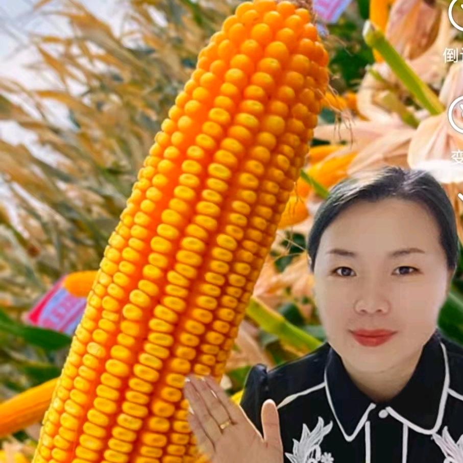 丽姐，农业