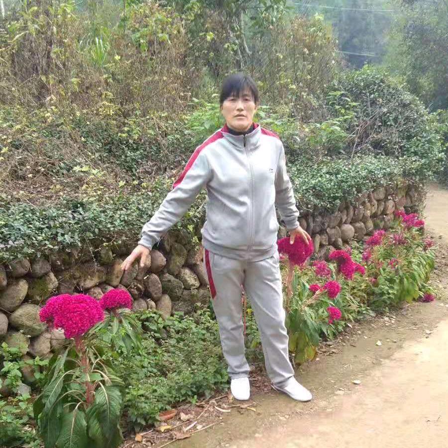 马小琴