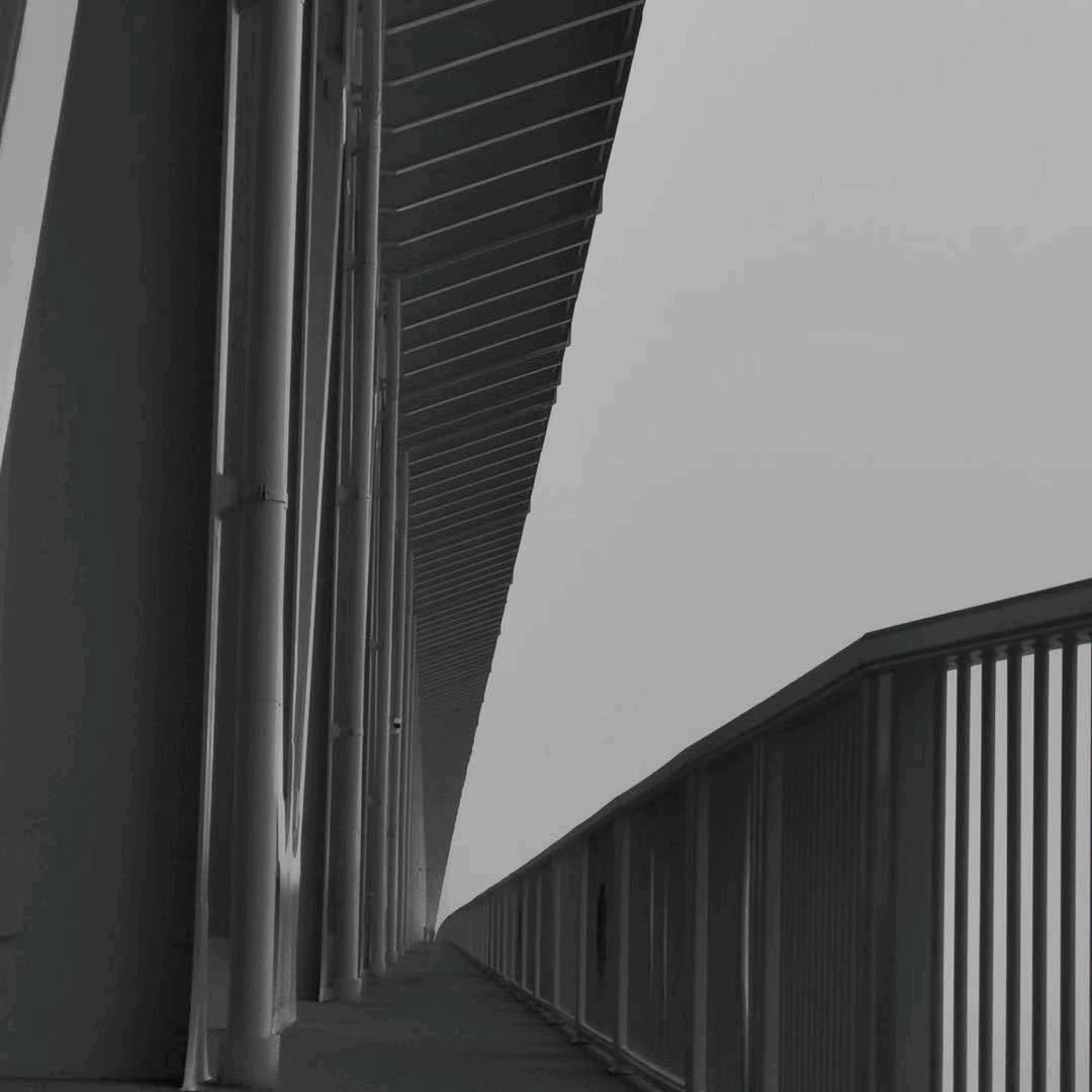 文竹早