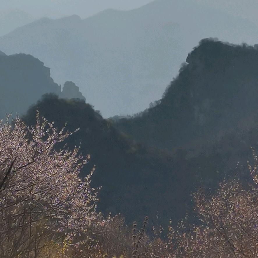 来盛土特产购销站