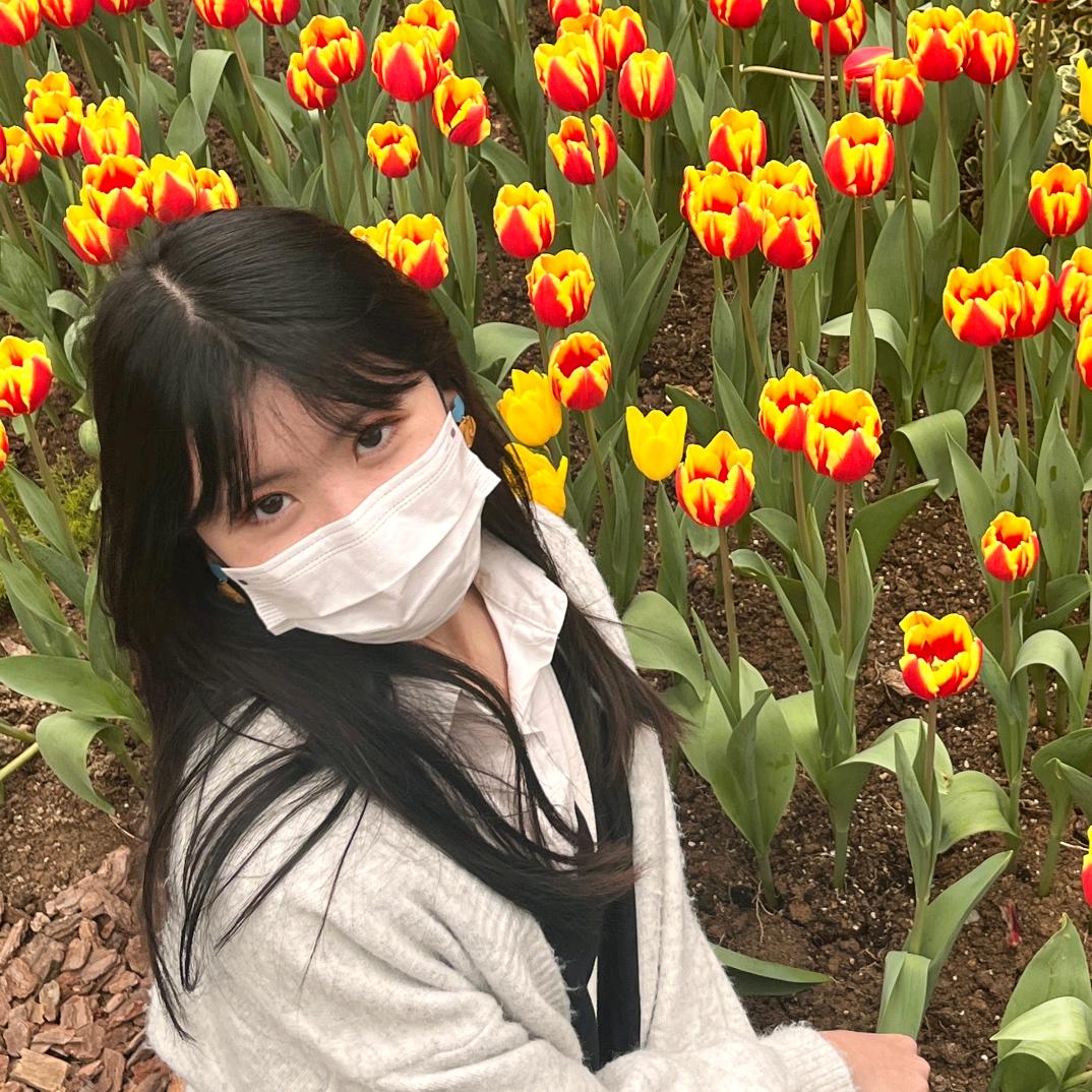小方鸡米花
