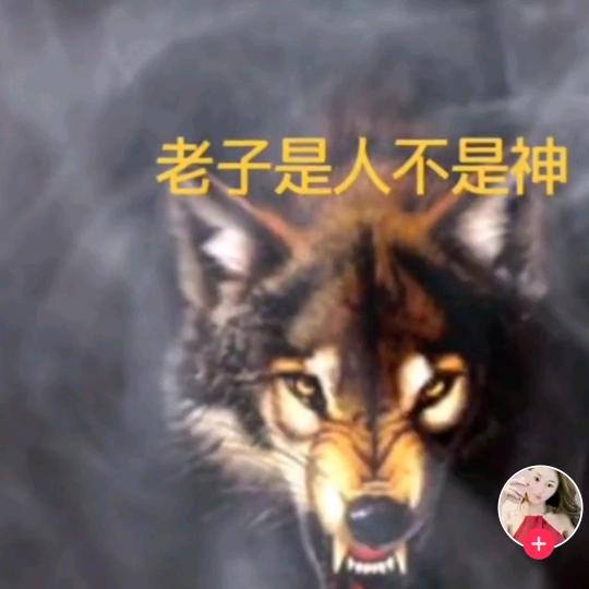 俊哥