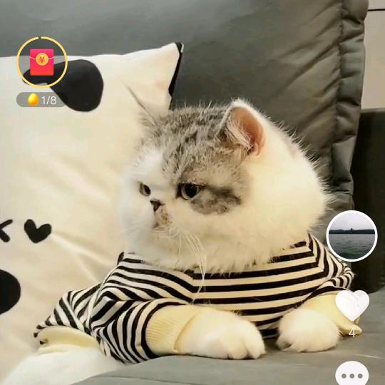 ঞ🍒好运꧔ꦿ᭄加满࿐ᩚ