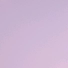 家风景观点
