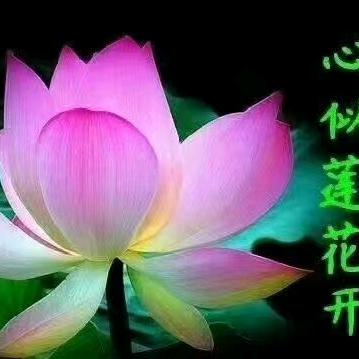 叶子姐唱因果歌