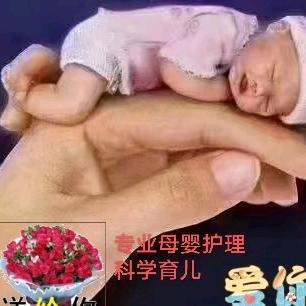 月嫂朱朱
