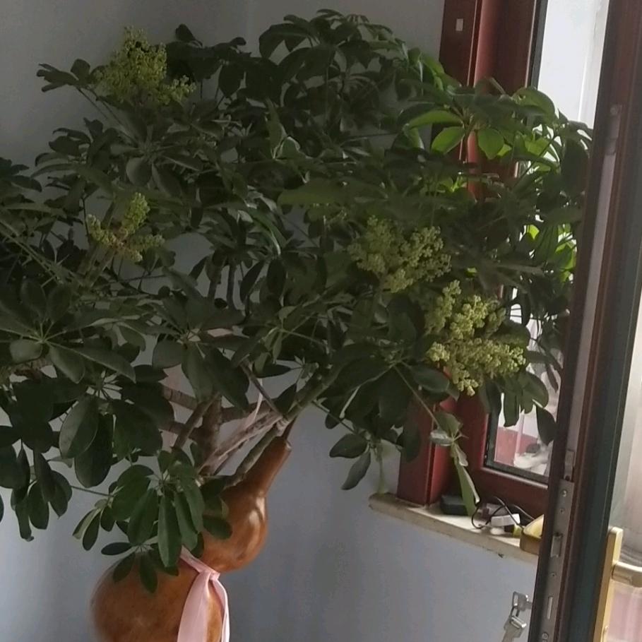 时来运转