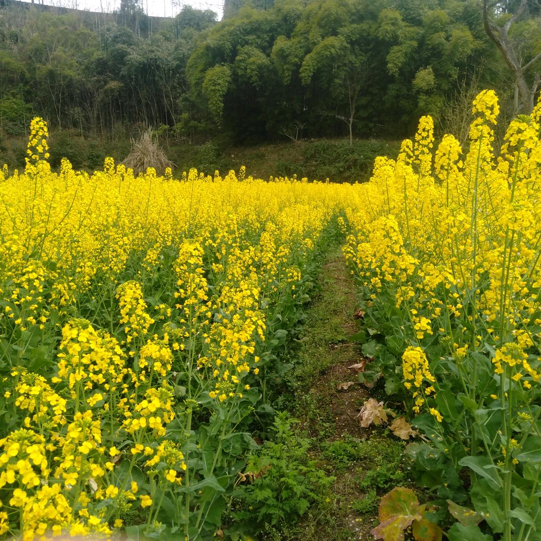 一生平安,
