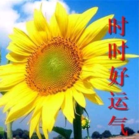 越来越好