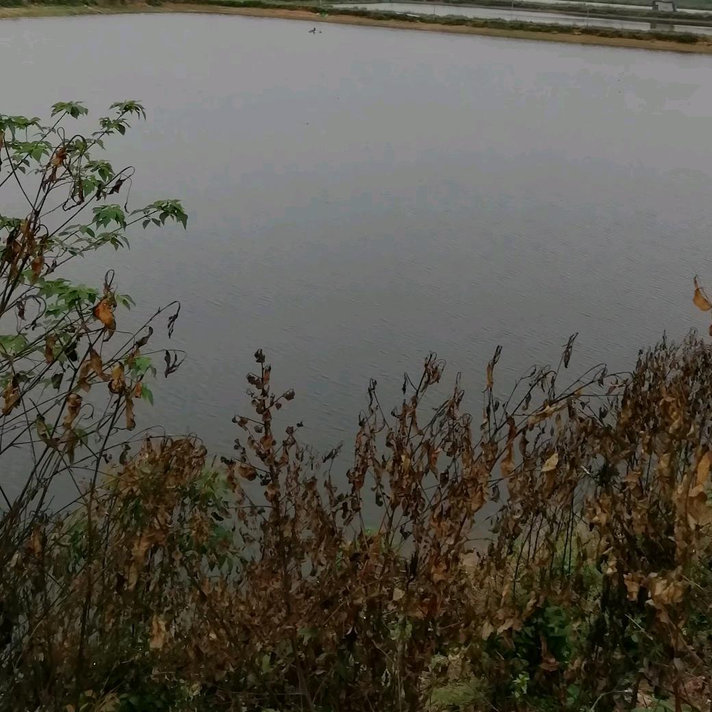 相遇海底世界梦想宝贝