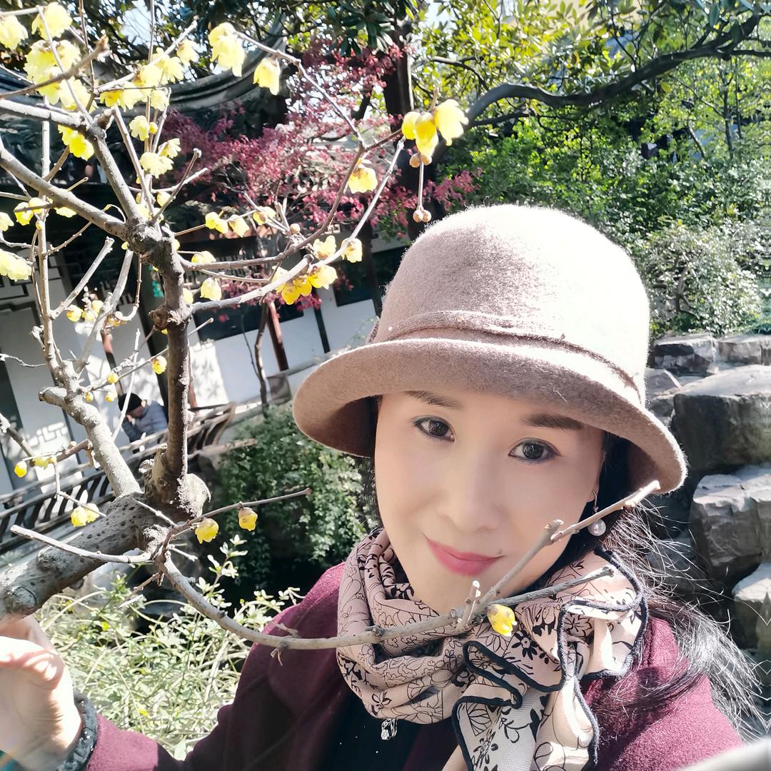 希绕美朵