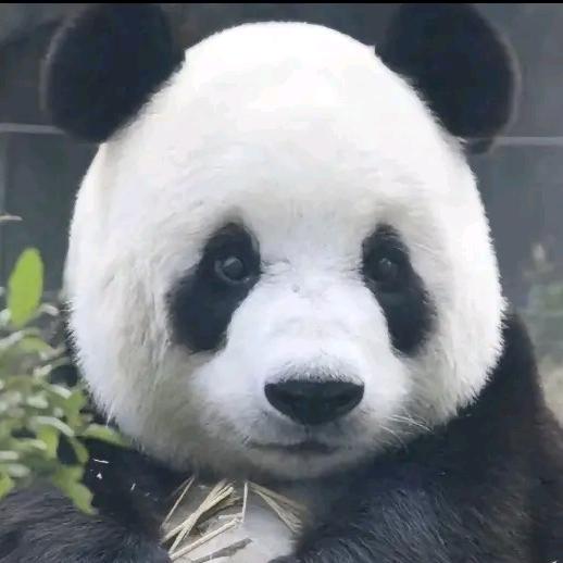 侑侑追剧