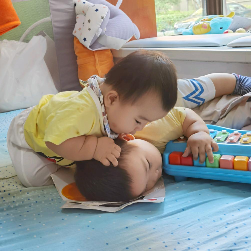 萌俊小二哈