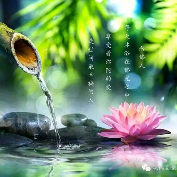青流