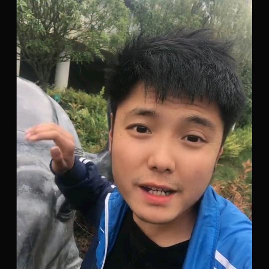 陈大锤【药材加工】