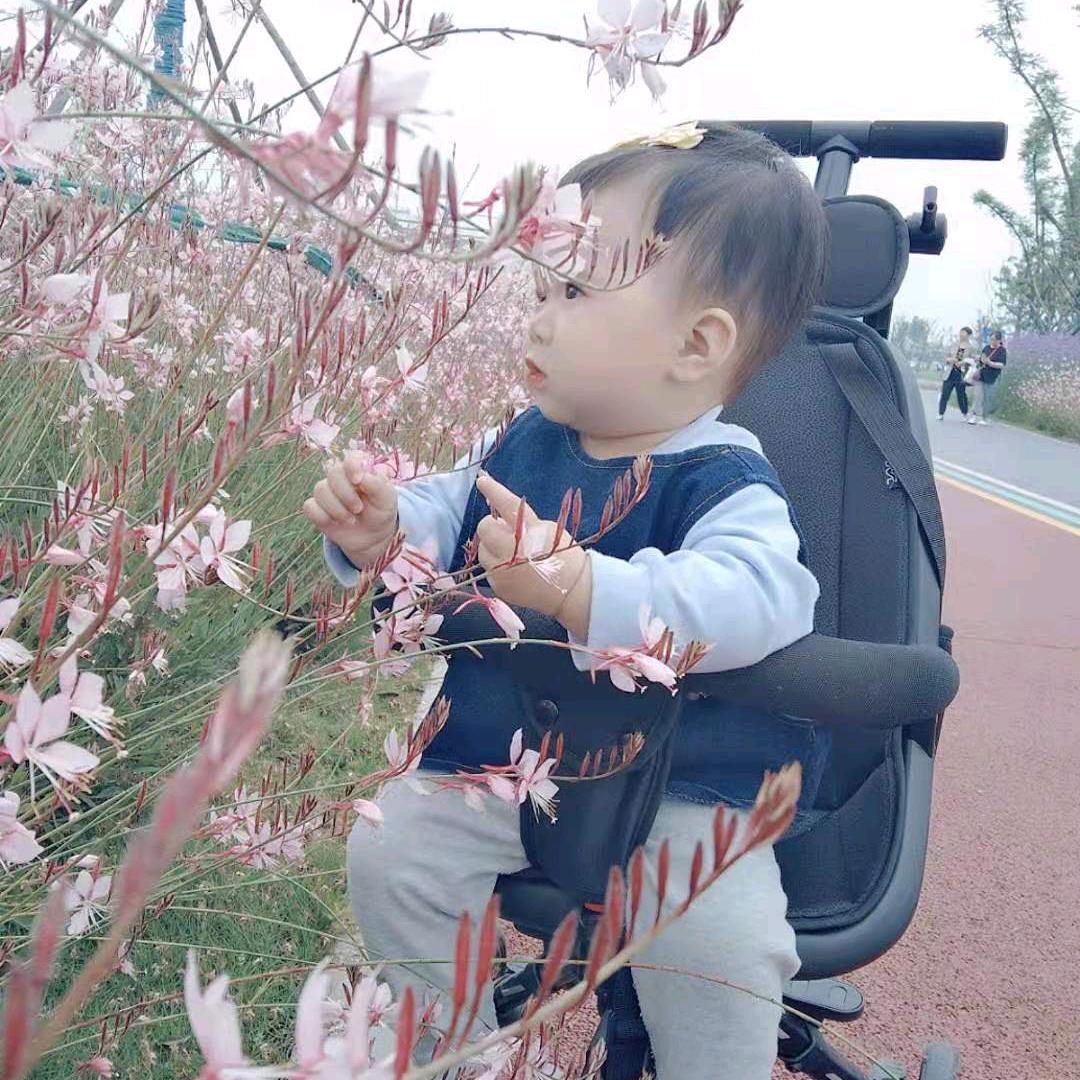 花花爱剧