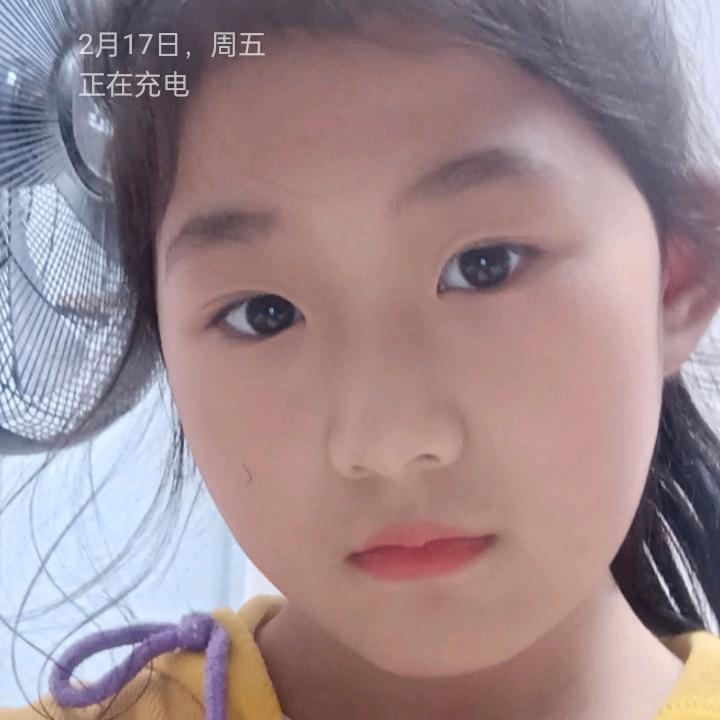 专业贴砖