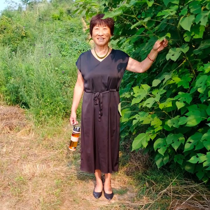 刘凤梅