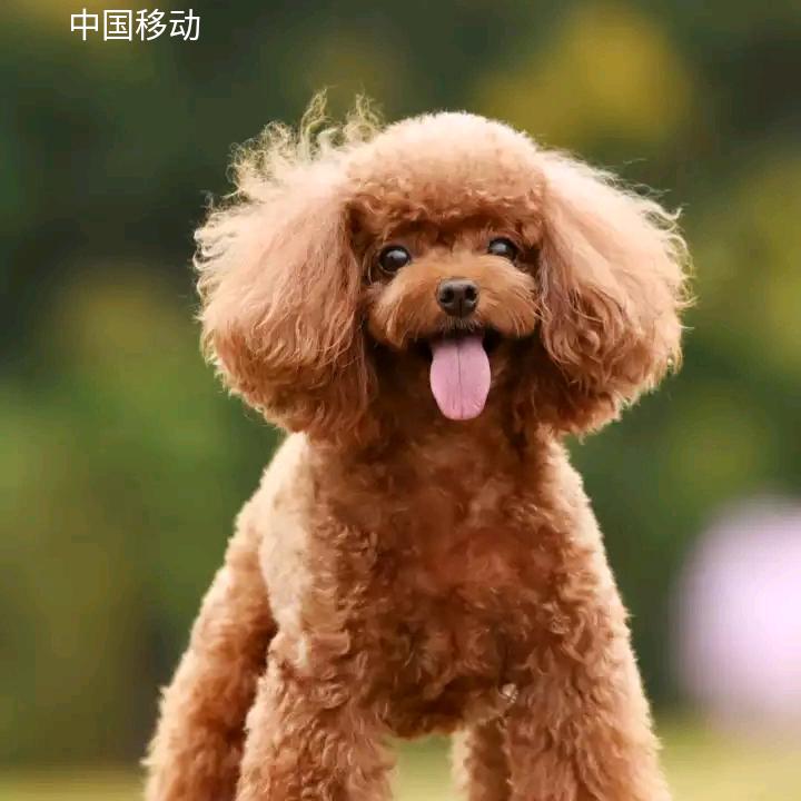 看淡一切