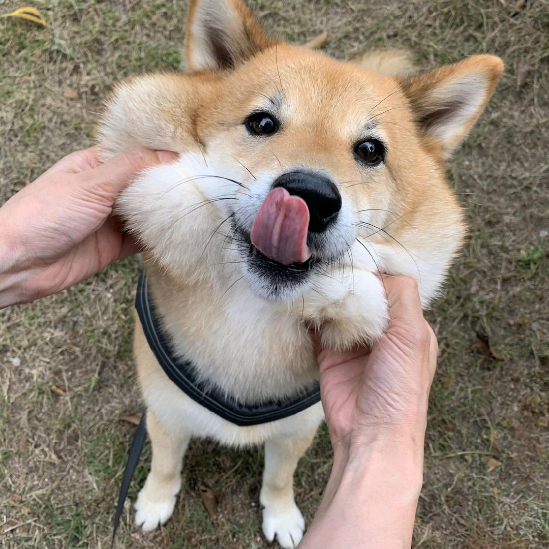 大 熊 🐻
