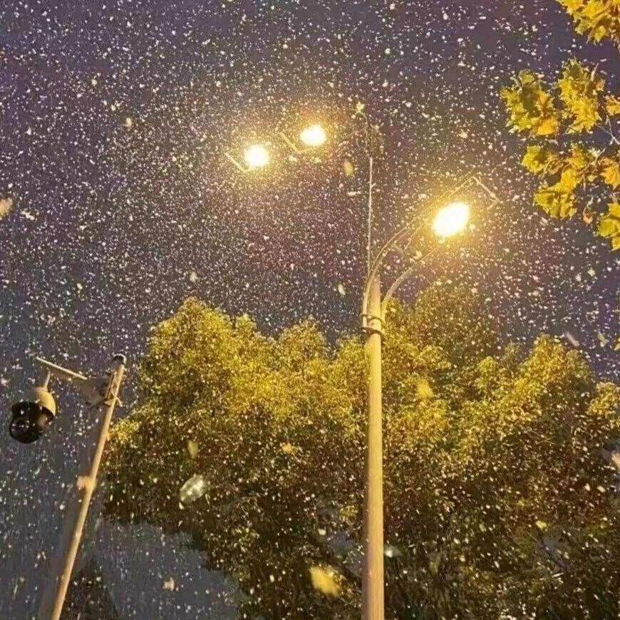 人间值得