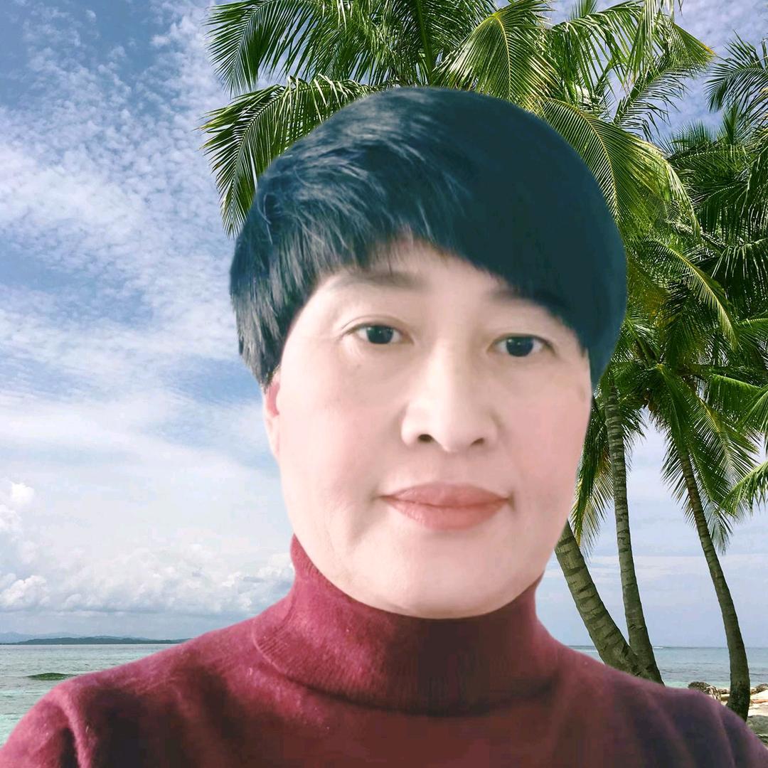 金晨百货