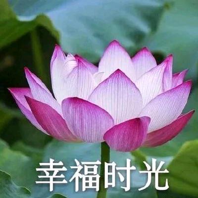 宝宝奶奶老潘
